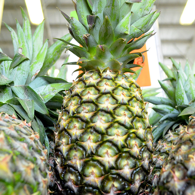 Departamento Carnicería Merkabastos