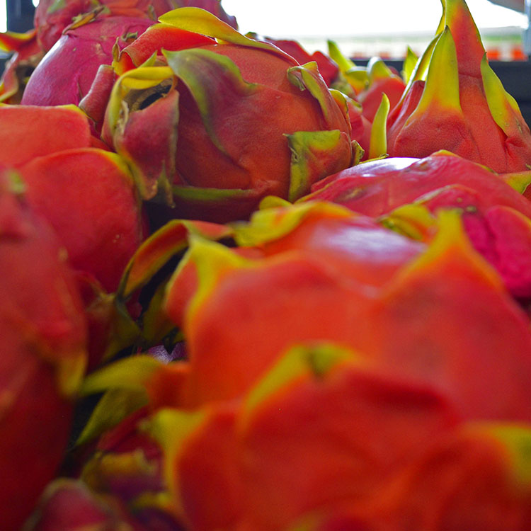 Departamento Enlatado y Conservas Merkabastos